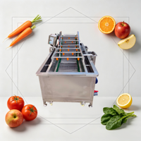 Jinglong Automatische Luchtbelletjes Groentewasser Multifunctionele Voedselveilige 304 RVS Fruit & Groente Reinigingsmachine
