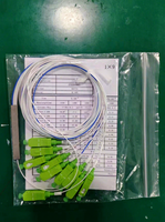 Paket Baja Presisi Tinggi Fiber Optic PLC Splitter Konektor SC Komponen Distribusi Optik untuk Tugas Transmisi Jaringan