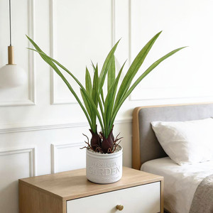 Plante artificielle Paulon en pot de 34 cm, en plastique vert, pour décoration intérieure et extérieure, pot de fleurs pour balcon, salon, chambre - Product Image 3