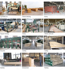 Contreplaqué de pin <span class=keywords><strong>en</strong></span> <span class=keywords><strong>bois</strong></span> conforme d'OSHA <span class=keywords><strong>pour</strong></span> la planche de <span class=keywords><strong>coffrage</strong></span> d'échafaudage - Product Image 6