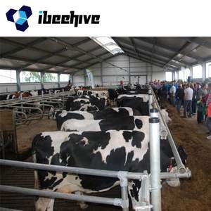 Granja De cobertizo De Vaca, luz De construcción, acero, estructura, Granja De Vaca, Lechera - Product Image 1