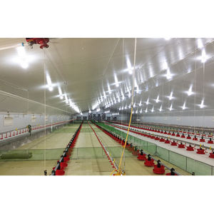 Construcción integral Anti-rata Bird Layer Broiler Chicken House Granja avícola para 10000 pollos Granja ecológica Limpieza <span class=keywords><strong>de</strong></span> heces - Product Image 4