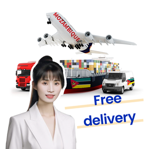 专业拼箱 + 快递货运代理服务空运到莫桑比克 - Product Image 6