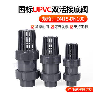 Clapet anti-retour UPVC à double joint pour entrée de pompe à eau, température normale, commande manuelle, usage général - Product Image 4