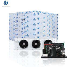 Cella Frigorifera Industriale per Carne Congelata, Frutti di Mare, Manzo, Pollo - Installatori di Celle Frigorifere Star Vista - Camera di Congelamento e Refrigerazione - Product Image 3