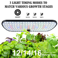 Mini serre de culture de graines de légumes d'intérieur à 12 trous avec système d'irrigation électronique intelligent et hydroponique, design moderne