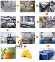 1000 Kg/u Volautomatische Mangosap Productielijn Fruitpulp Maken Verpakkingsmachines Kesar Mango Pulp Fabrikant