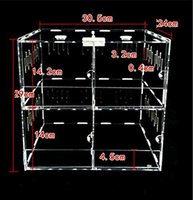 Cage de terrarium pour reptiles, boîte de cage pour reptiles, boîte d'escalade pour animaux de compagnie en acrylique, boîte transparente pour tarantules, insectes, scorpions, vitrine