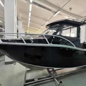 Vitesse Cabine Moteur 6 Mètres Bateau à Vendre Nouveau 2023 Bateau de Pêche avec Moteur et Remorque