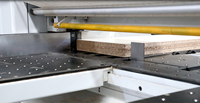 R-TUP DS-380 Incluye Software de Optimización, Sierra de Panel para Fabricación de Muebles CNC Inteligente y Automática