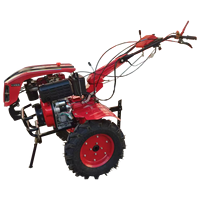Tracteur à pied multifonctionnel de haute qualité Micro Tiller Rotary Cultivator Rotary Tiller Désherbage Roue à vendre