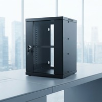 Rack de serveur personnalisé en acier WD2 19 pouces 4U 6U 9U 12U double section mural emballage plat démonté 600*550mm 600*600mm en stock