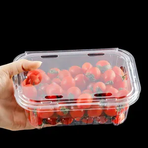 일회용 친환경 PET 투명 플라스틱 과일 포장 용기 500g 용량 베리 딸기 블루베리 조개껍데기 모양 상자 - Product Image 5