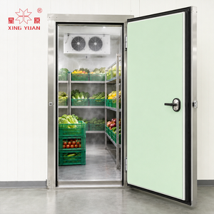 <span class=keywords><strong>Porte</strong></span> <span class=keywords><strong>d</strong></span>'<span class=keywords><strong>entrée</strong></span> de chambre froide sur mesure pour entrepôt - Product Image 2