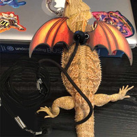 Harnais et laisse pour lézard barbu, lot de 3 tailles, ailes de dinosaure, accessoires de marche et d'entraînement en plein air pour reptiles, laisse pour petits animaux