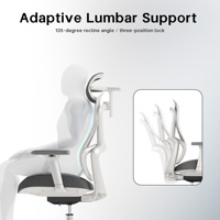 Chaise de bureau ergonomique moderne en maille PP+TPE avec dossier souple, dossier haut, pivotante, support lombaire réglable, base à cinq branches robuste