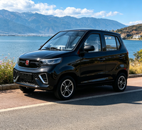 Venta Directa de Fábrica, Auto Eléctrico de Nueva Energía, Mini SUV de 4 Asientos con Certificación EEC, COC y CE, Vehículo Eléctrico de Cuatro Ruedas