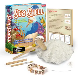 Kök eğitici oyuncak kız zarif hediye kazmak kabuk diy kendi favori kabuk bilezik deniz kabuğu kazmak yapmak bilezik kiti çocuk oyuncakları