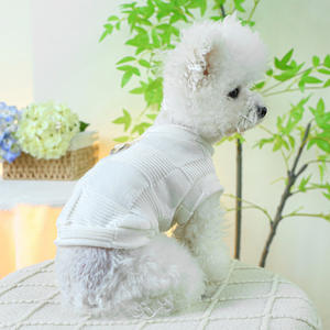 Vêtements d'été brodés pour animaux de compagnie en gros – Adorable gilet pour <span class=keywords><strong>chien</strong></span>, chemise pour chat, t-shirt pour <span class=keywords><strong>chien</strong></span> avec anneau en D, <span class=keywords><strong>manteau</strong></span> pour Pug et Yorkie - Product Image 6