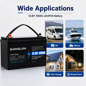 Batterie LiFePO4 12V 100Ah avec BMS 100A, 6000 cycles de vie profondes, pour stockage solaire, température de fonctionnement -20-60°C - Product Image 2
