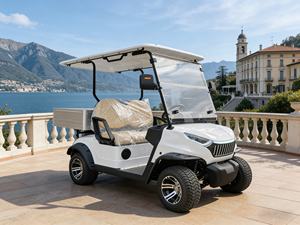 Voiturette de <span class=keywords><strong>golf</strong></span> électrique personnalisée 2 places avec coffre de chargement pour les excursions en station balnéaire et en bord de <span class=keywords><strong>lac</strong></span> - Product Image 5