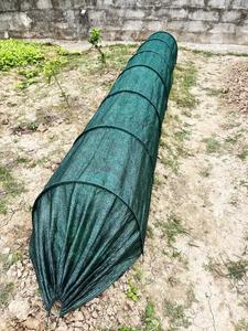 Túnel de Sombra para Jardín Exterior con Marco Metálico Moderno y Protección Contra Insectos para Cultivo Hidropónico - Product Image 5