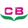 Choebe (Dongguan) Package Co., Ltd. logo