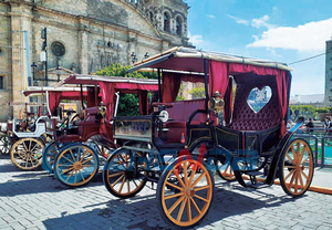 Calèche de mariage électrique romantique pour reçus et visites panoramiques, à vendre - Product Image 6