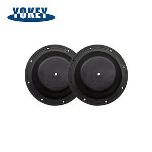 थोक डायाफ्राम पंप सहायक उपकरण ptfe पॉलीटेट्राफ्लोरोइथिलीन डायाफ्राम न्यूमेटिक पंप - Product Image 2