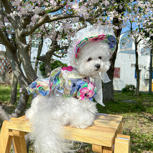 Fabricant vente en gros de chapeaux <span class=keywords><strong>Bonette</strong></span> mignons pour animaux de compagnie vêtements et robes pour chiens Monet Garden Spring Summer Tea Party - Product Image 5