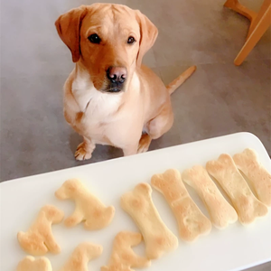 Varias formas Cortadores de galletas <span class=keywords><strong>para</strong></span> <span class=keywords><strong>perros</strong></span> FDA 430 Molde de galletas de acero inoxidable <span class=keywords><strong>para</strong></span> <span class=keywords><strong>perros</strong></span> Gato Golosinas caseras - Product Image 3