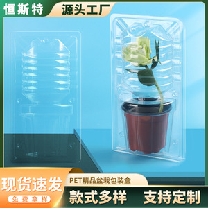 Boîte d'emballage pour plantes en pot Hst Pet, diamètre intérieur 245 mm, emballage en blister transparent en plastique pour fleurs et semis - Product Image 1