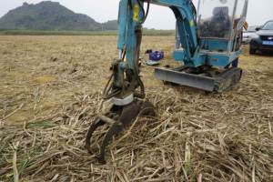 Machinerie forestière, grappin rotatif pour bois, grappin rotatif pour bois et pierre pour chargeur frontal de canne à sucre, excavateur, grappin à bois - Product Image 2