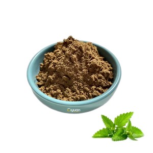 Extrait de Motherwort de vente chaude Extrait de <span class=keywords><strong>Leonurus</strong></span> de qualité supérieure - Product Image 3