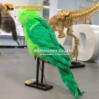 My Dino Animaux Animatroniques réalistes Taille réelle Oiseau Perroquet