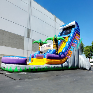 Toboggan Gonflable sur Mesure <span class=keywords><strong>avec</strong></span> <span class=keywords><strong>Piscine</strong></span> Château Gonflable Vague Bleue Toboggan Aquatique Commercial <span class=keywords><strong>avec</strong></span> <span class=keywords><strong>Piscine</strong></span> pour Fête d'Enfants - Product Image 6