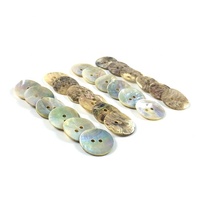 Coque de perle Akoya chinoise naturelle 2 trous boutons plats techniques polies pour vêtements Style Camisa Botones Para Ropa