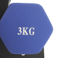 Haltères hexagonales de musculation réglables en kg pour femmes, fonte de haute qualité, revêtement en caoutchouc PVC, choix de couleur OEM gratuit - Direct