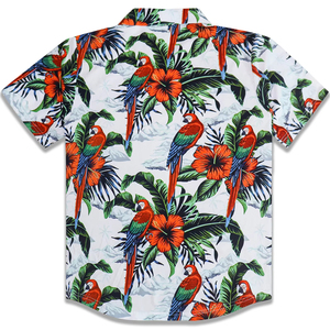Camisa de solapa de verano para hombre, ropa transpirable, resistente a la playa, camiseta con botones para hombre, camisa hawaiana de manga corta americana, tela de seda - Product Image 3