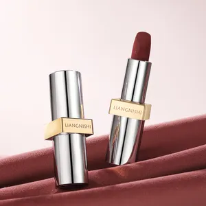 Private Label High Quality High Pigment Lip Gloss Waterproof Long Lasting Sweetness Red Velvet Texture Luxury Matte Lipstick