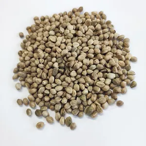 Di alta qualità prezzo di vendita di semi di canapa impianto di semi di canapa