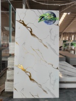 Panneau mural en PVC marbré antistatique luxueux, plaque UV imperméable et ignifuge pour application en entrepôt
