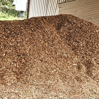 Copeaux de bois naturels OEM de haute qualité, couleur bois, provenance Vietnam, pour combustible biomasse, bioénergie, biochimie, teneur en cendres 3%, humidité 15%