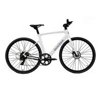 2025 Popular OEM ODM 36V250W 750W 1000W Kilometraje más largo 700 * 23C Ocio eléctrico Carrera de carretera Bicicleta Marco de fibra de carbono