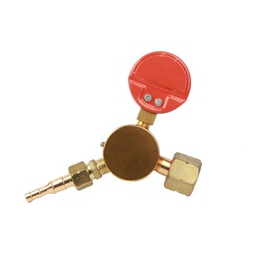 Régulateur de GPL de type économique pour le russe - Product Image 6