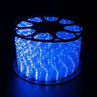 Achat en gros de guirlandes lumineuses LED RGBW de Noël, blanc chaud, indice de protection IP67, décorations néon modernes
