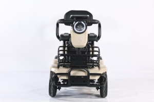 Voiture électrique à 4 roues pour 3 <span class=keywords><strong>personnes</strong></span>, carrosserie ouverte, moteur 800W, pour adultes et <span class=keywords><strong>personnes</strong></span> âgées, vente directe d'usine - Product Image 5