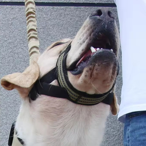 LEVI OEM muselières pour chiens Anti-aboiement Réglable Respirant Muselière pour chien de compagnie muselière dispositif