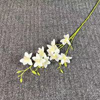 Haute Qualité Impression 3D 5 Têtes Real Touch Orchidées Artificielle Orchidée Fleur Papillon Fleur Pour La Maison De Mariage Décor