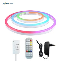 Bande lumineuse LED néon extérieure en plastique 24V RGB à commande vocale USB Epistar, étanche IP67, haute luminosité